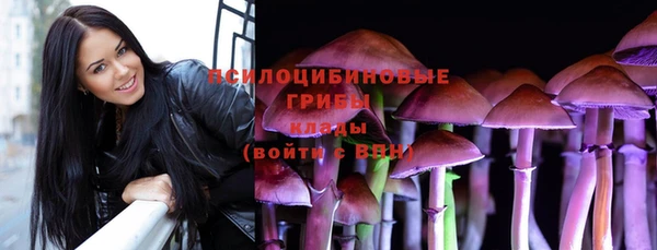 дмт Майский